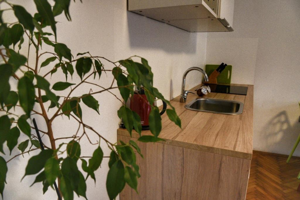 Two Flowers Apartments ザグレブ エクステリア 写真